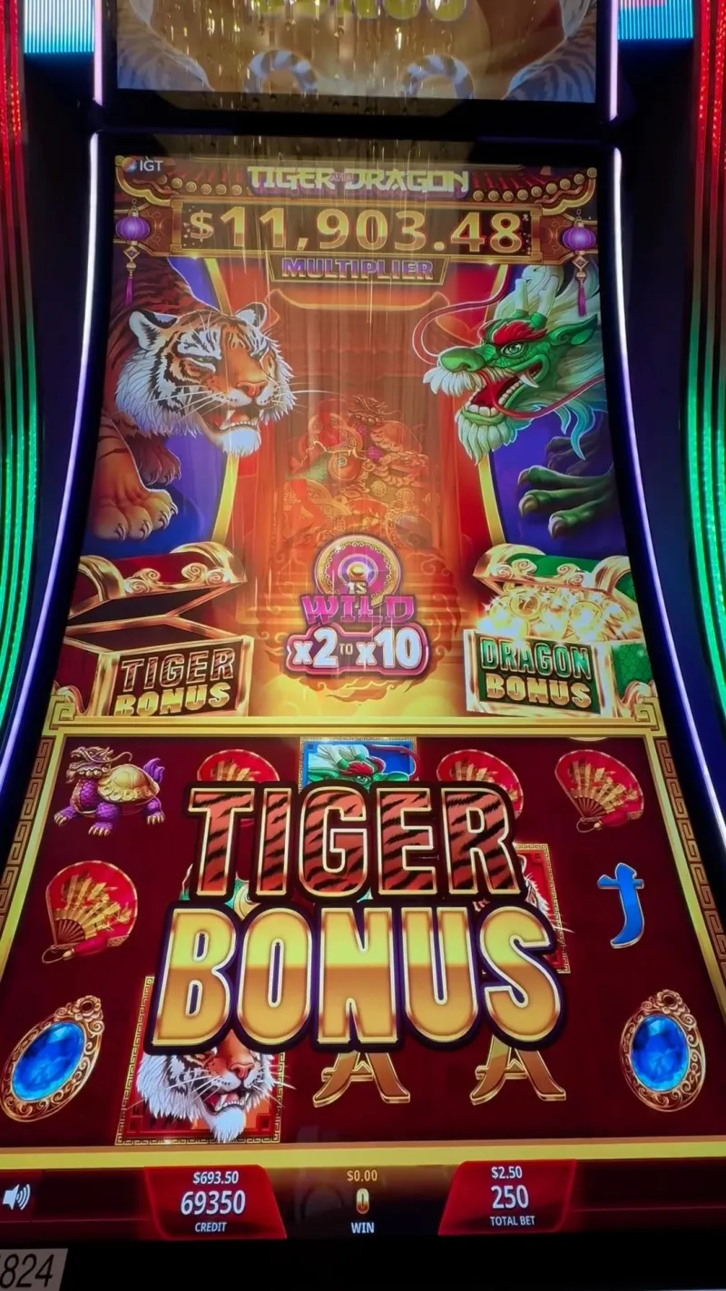 Why Fortune Tiger Keeps Winning the Room While Other Slots Fade Into the Background